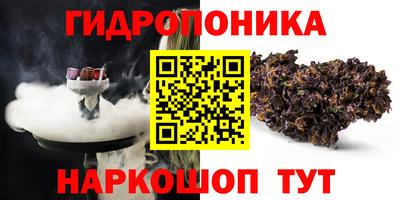 шишки Тулун