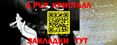 шишки Тулун