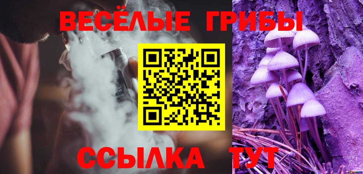 Галлюциногенные грибы прущие грибы Нижнеудинск