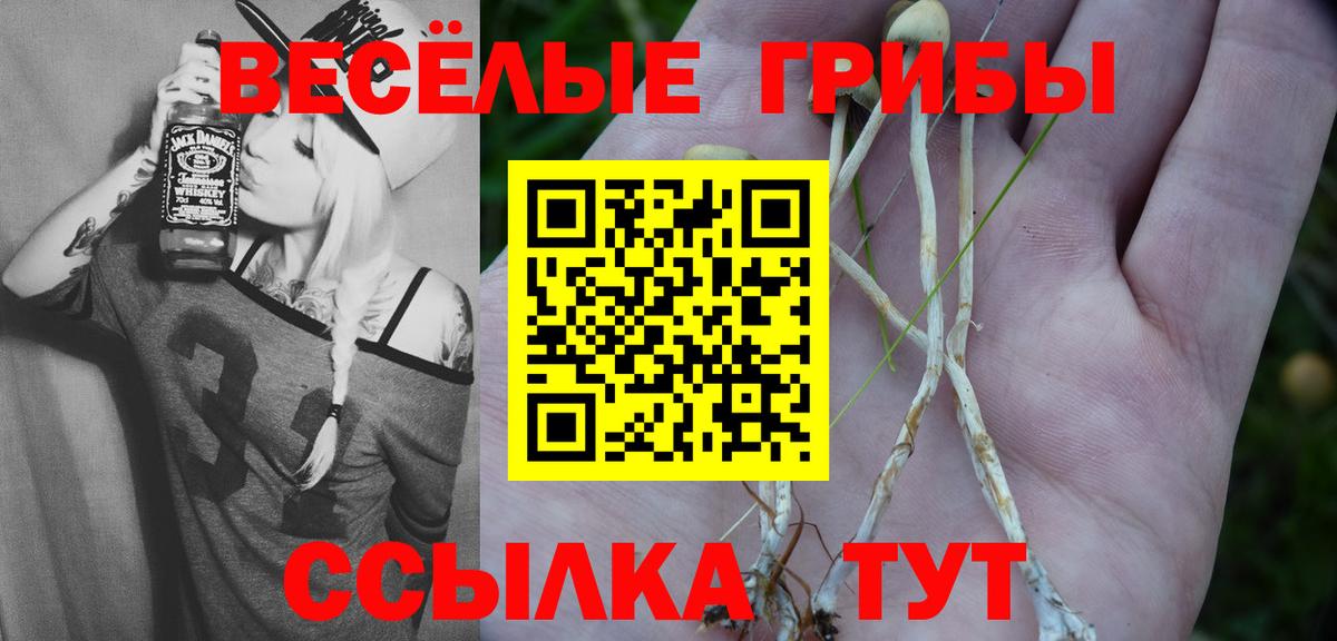 наркота  Галлюциногенные грибы GOLDEN TEACHER  Галлюциногенные грибы Cubensis  Вход с VPN  Нижнеудинск 